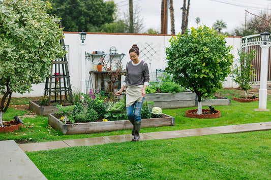 How to Build Gardens Beds