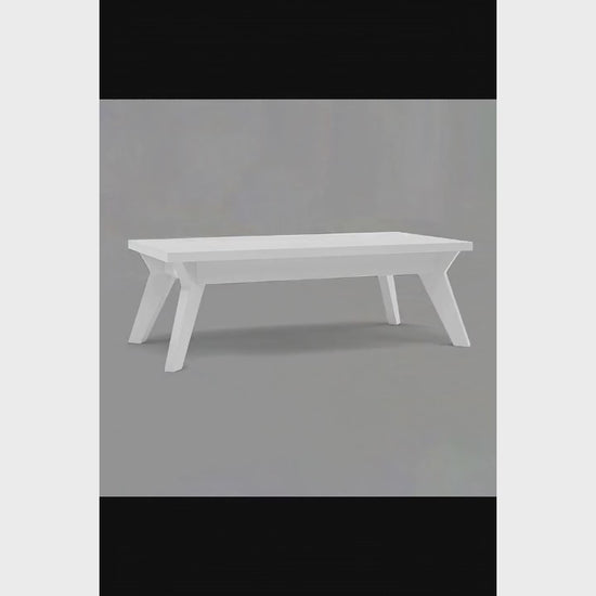 Asheville 48X4 Coffee Table Video


